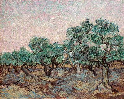 Schilderij Van Gogh, Olijfplukkende vrouwen